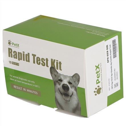 Canine BG Ab Rapid Test